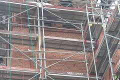 IMG_20241219_124924427